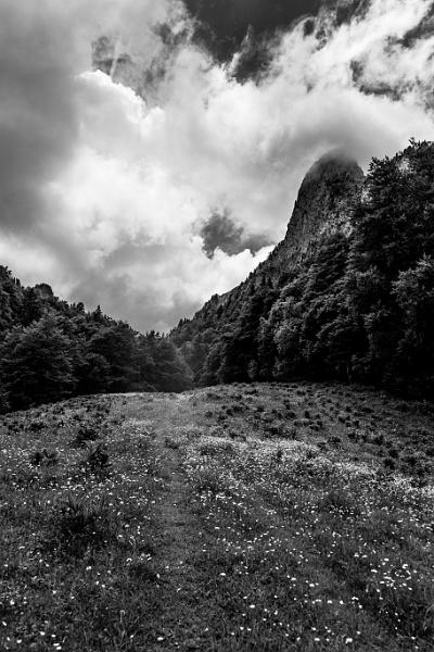 2018_06_05_Haute Savoie  (0029_bnw).jpg - Pointe de Talamarche (Juin 2018)